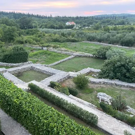 Oasis Cypress Čilipi