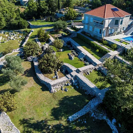 Oasis Cypress * Čilipi