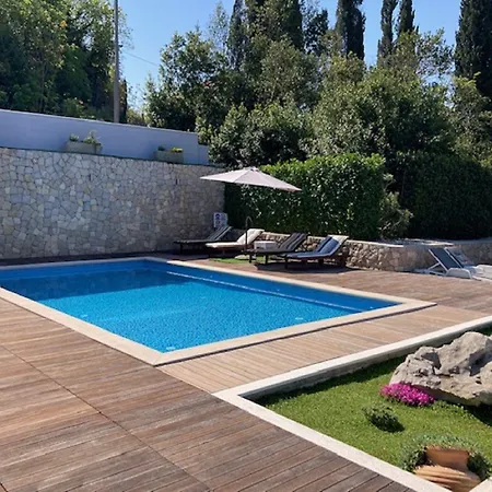 Oasis Cypress * Čilipi