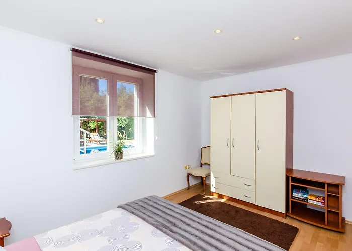 Oasis Cypress Čilipi