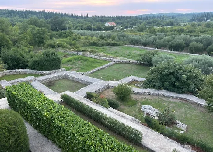 Oasis Cypress Čilipi